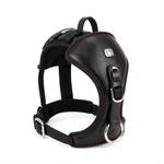 Viking Dog Harness - 2
