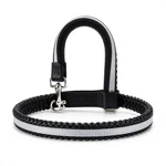 Aurora Dog Leash - 1