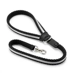 Aurora Dog Leash - 2