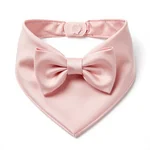 Silk Cat Bandana with Bow - 1