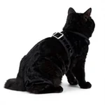 Velvet Cat Harness with Buckle - 2