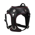 Viking Dog Harness - 1