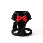 Velvet Cat Harness with Bow - 1