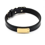 PawLuxe Dog Collar - 2