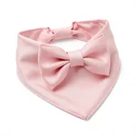 Silk Cat Bandana with Bow - 2