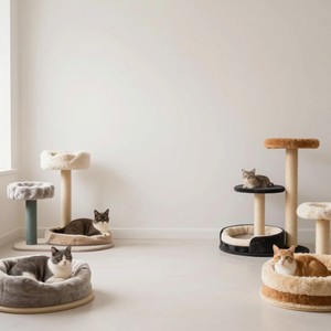 Cat Boutique